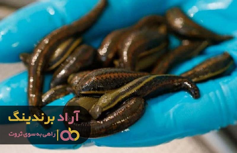 https://akharinnews.com/images/1401/07/07/31.jpg