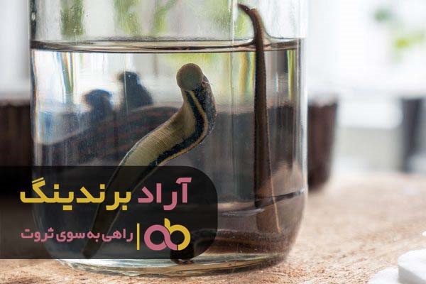 https://akharinnews.com/images/1401/07/07/32.jpg