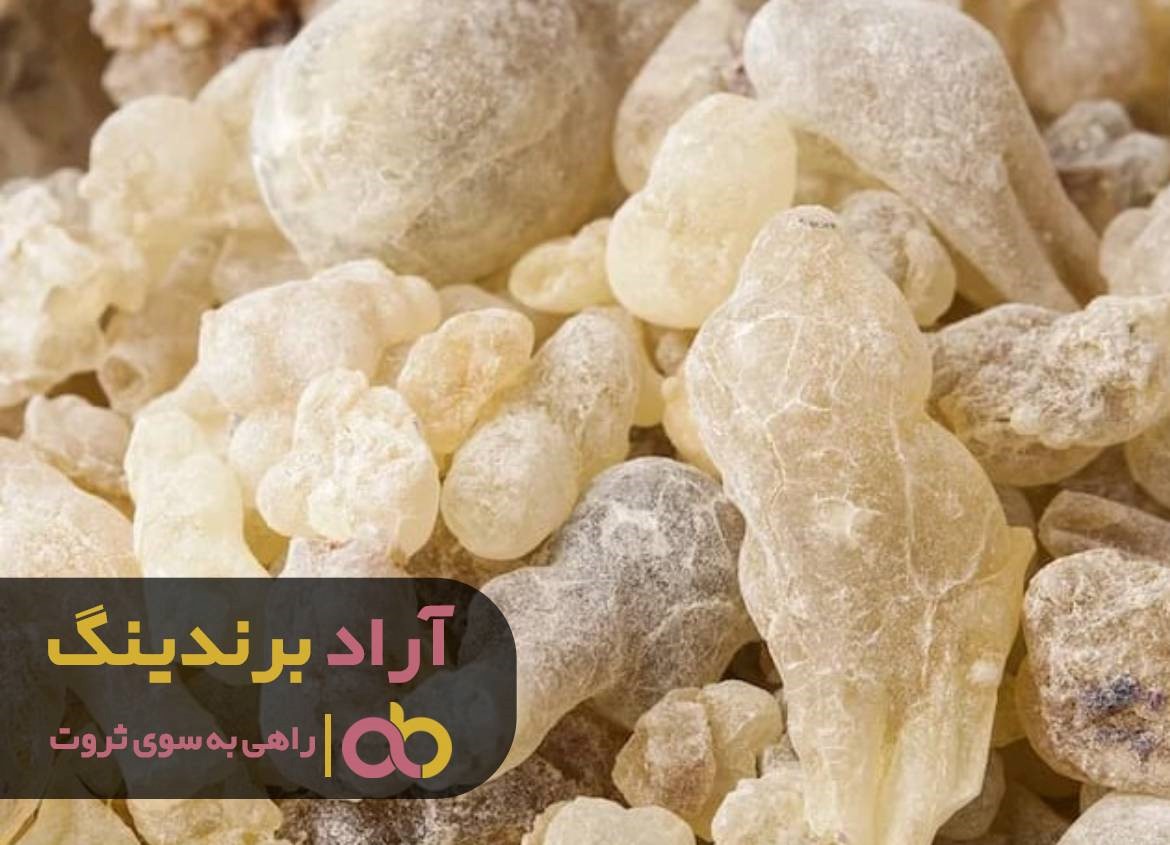 https://akharinnews.com/images/1401/07/12/21.jpg