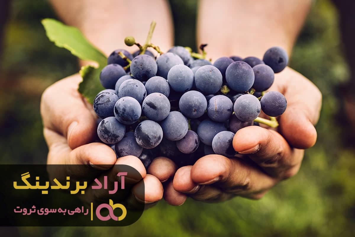 https://akharinnews.com/images/1401/08/03/21.jpg