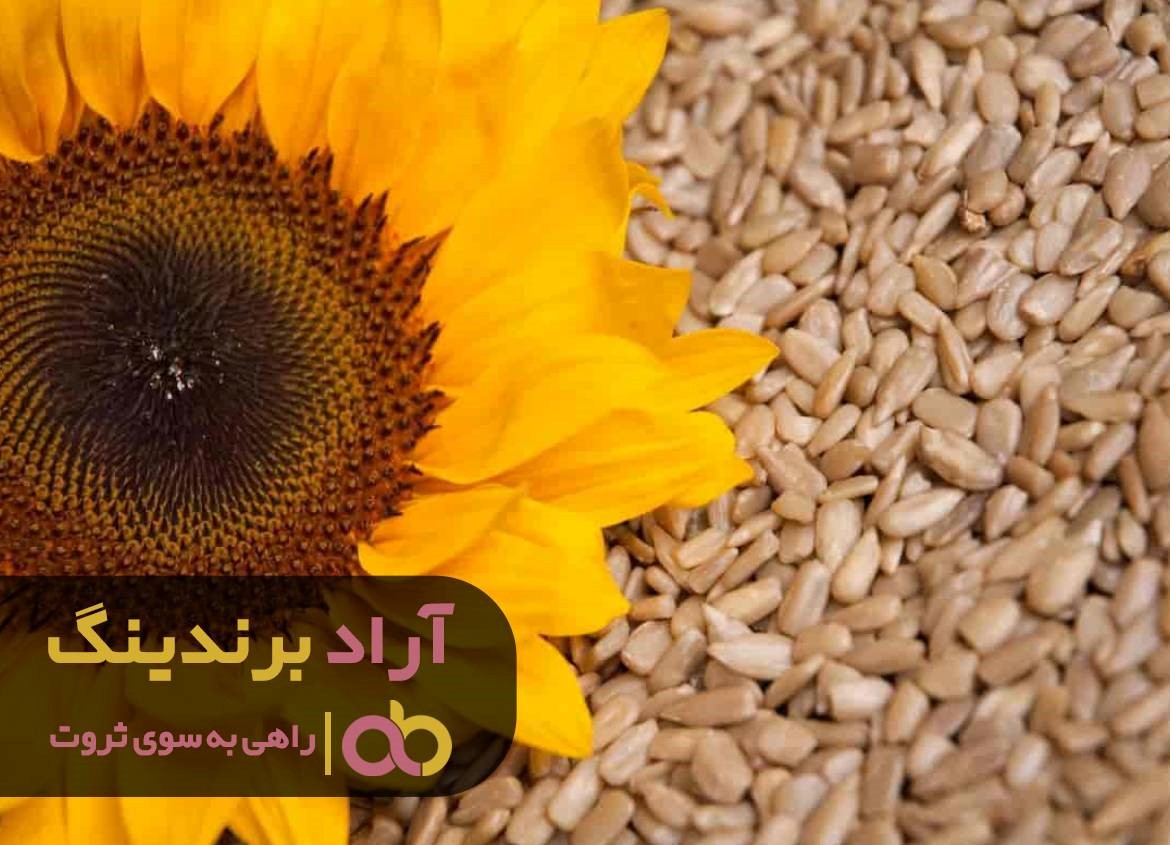 https://akharinnews.com/images/1401/08/03/43.jpg