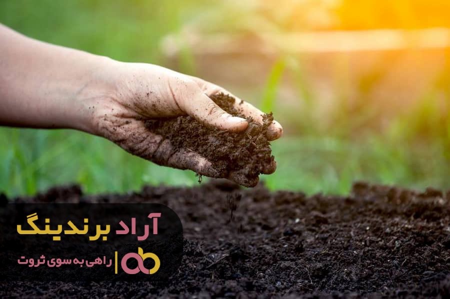 https://akharinnews.com/images/1401/08/06/22.jpg