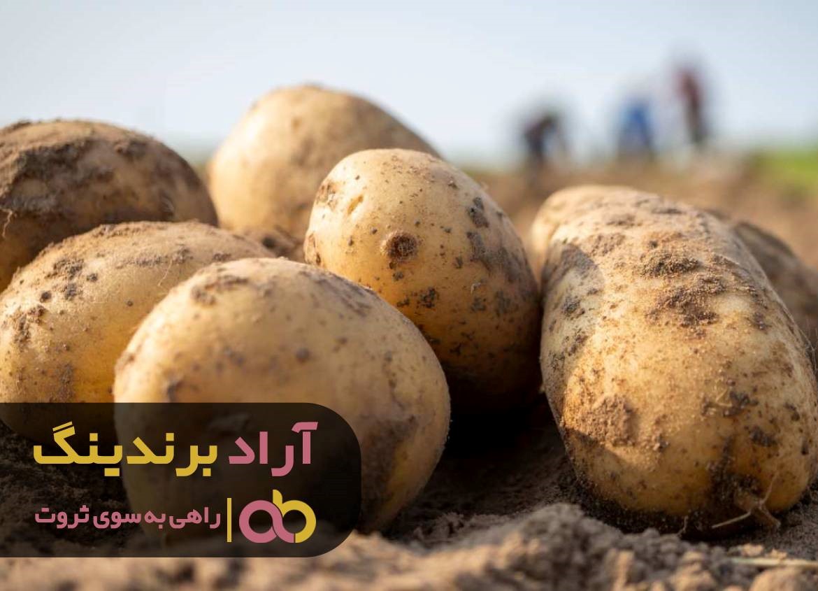 https://akharinnews.com/images/1401/08/06/41.jpg