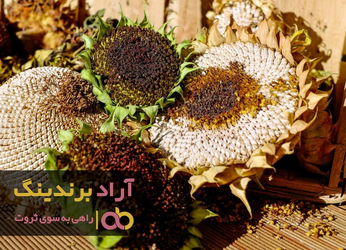 https://akharinnews.com/images/1401/08/06/42.jpg