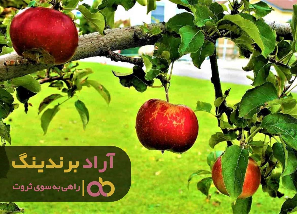https://akharinnews.com/images/1401/08/06/52.jpg
