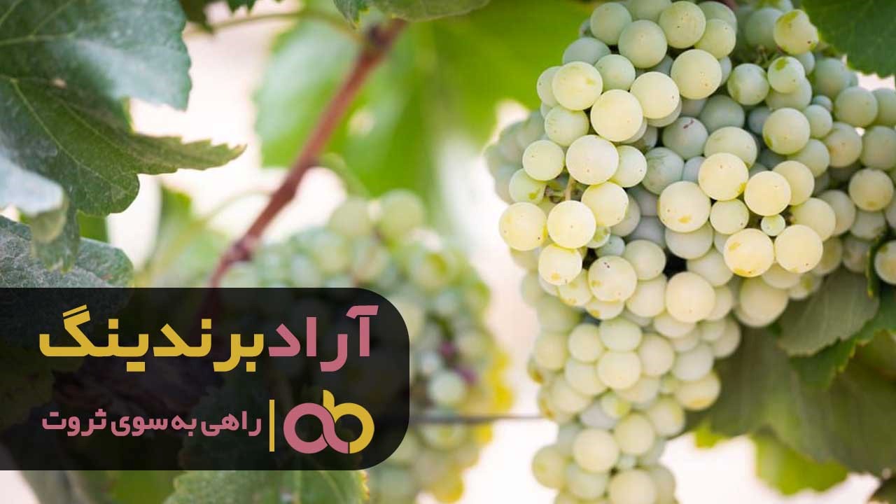 https://akharinnews.com/images/1401/08/07/22.jpg