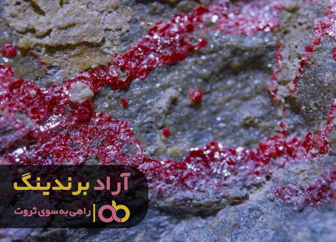 https://akharinnews.com/images/1401/08/08/43.jpg
