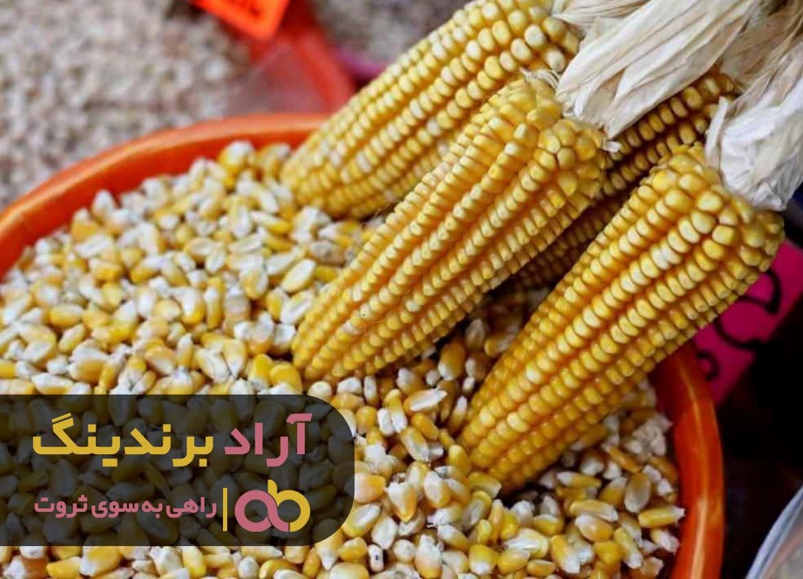 https://akharinnews.com/images/1401/08/11/11.jpg
