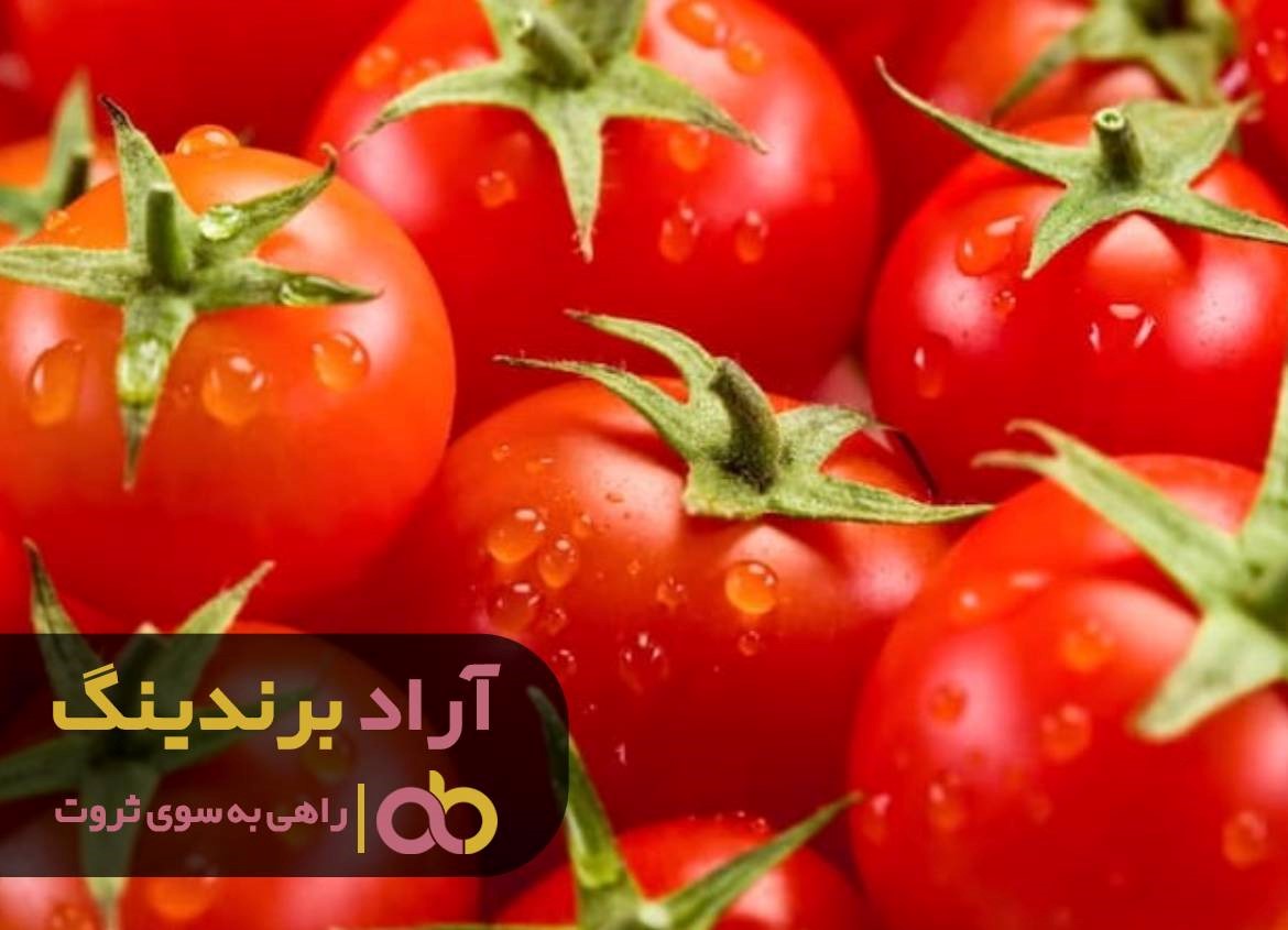 https://akharinnews.com/images/1401/08/12/23.jpg