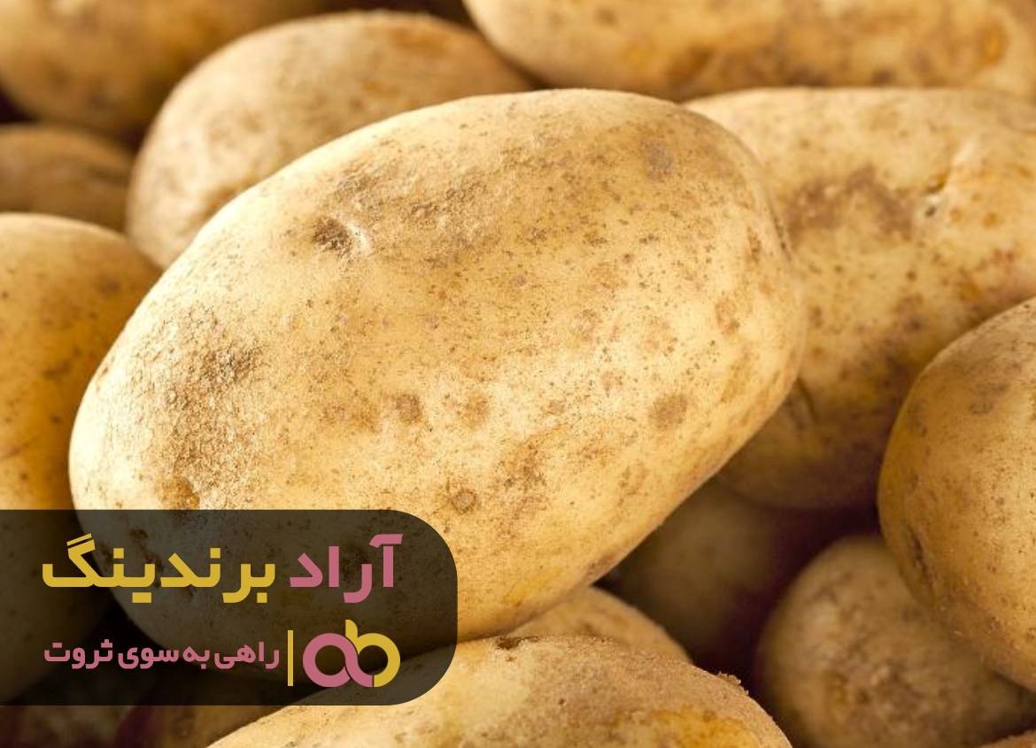https://akharinnews.com/images/1401/08/12/43.jpg