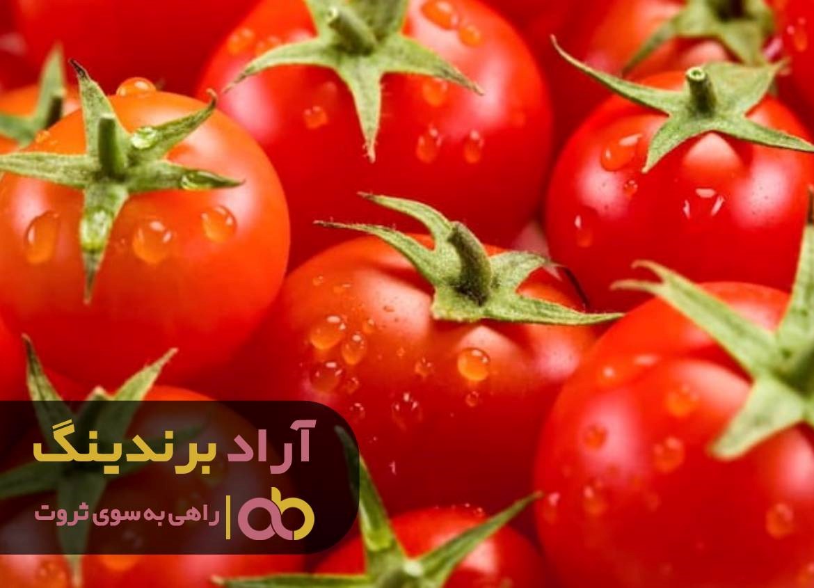 https://akharinnews.com/images/1401/08/15/21.jpg
