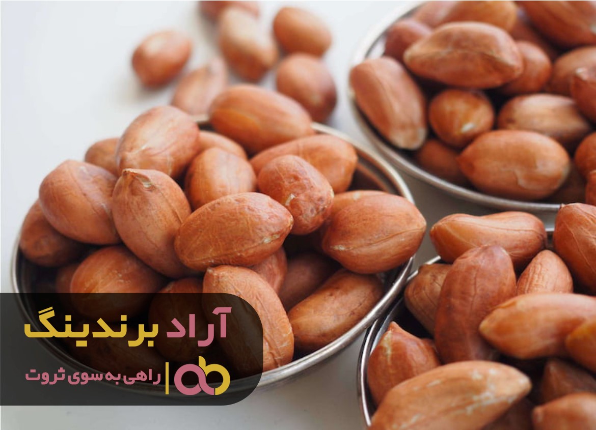 https://akharinnews.com/images/1401/08/18/21.jpg