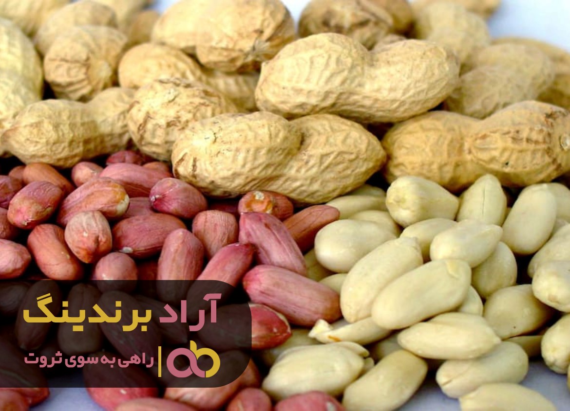 https://akharinnews.com/images/1401/08/18/32.jpg