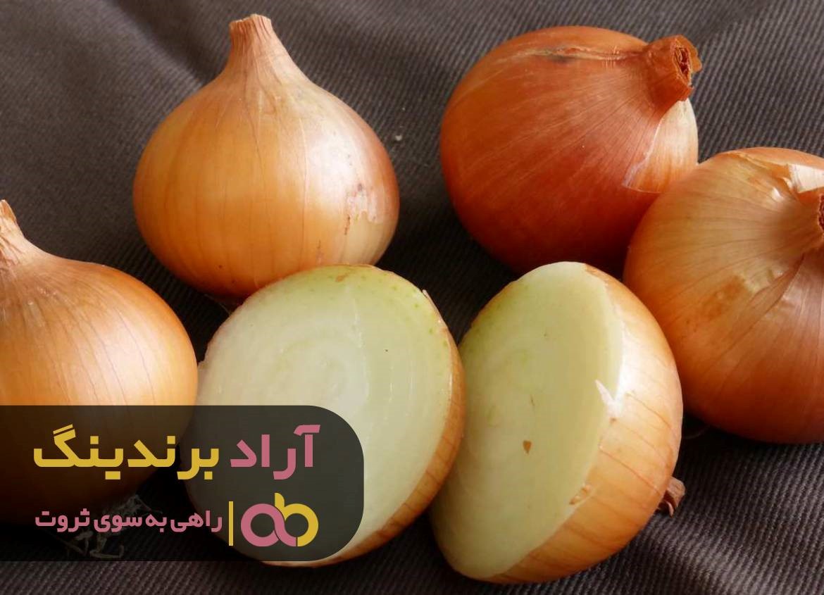 https://akharinnews.com/images/1401/08/21/31.jpg