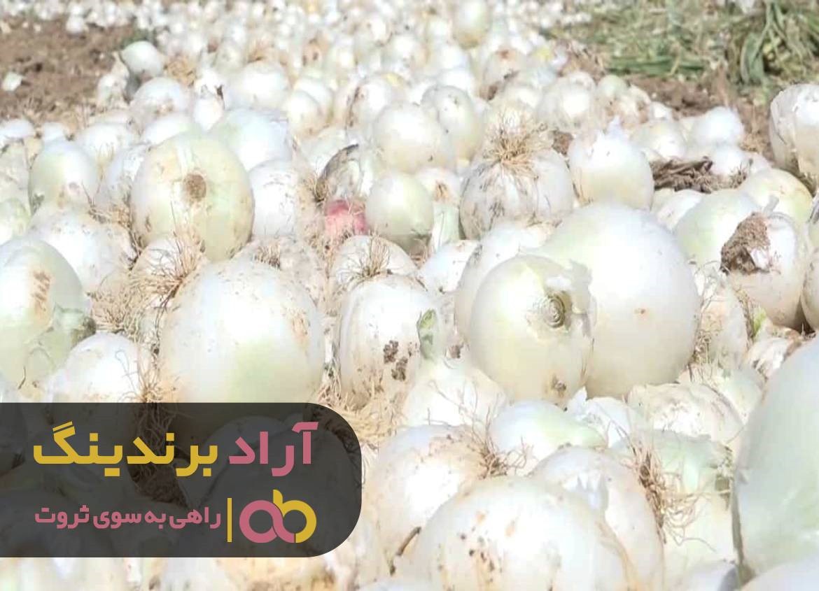 https://akharinnews.com/images/1401/08/21/32.jpg