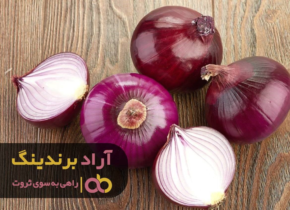 https://akharinnews.com/images/1401/08/21/33.jpg