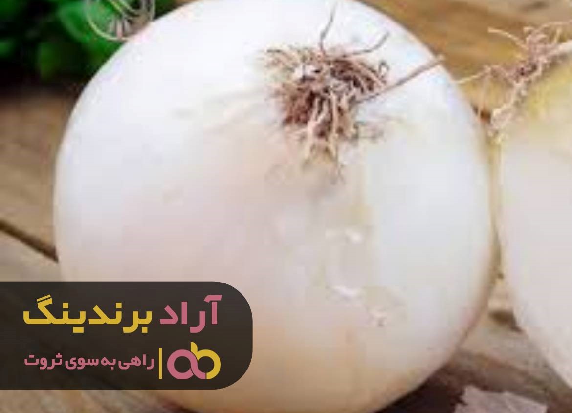 https://akharinnews.com/images/1401/08/21/42.jpg