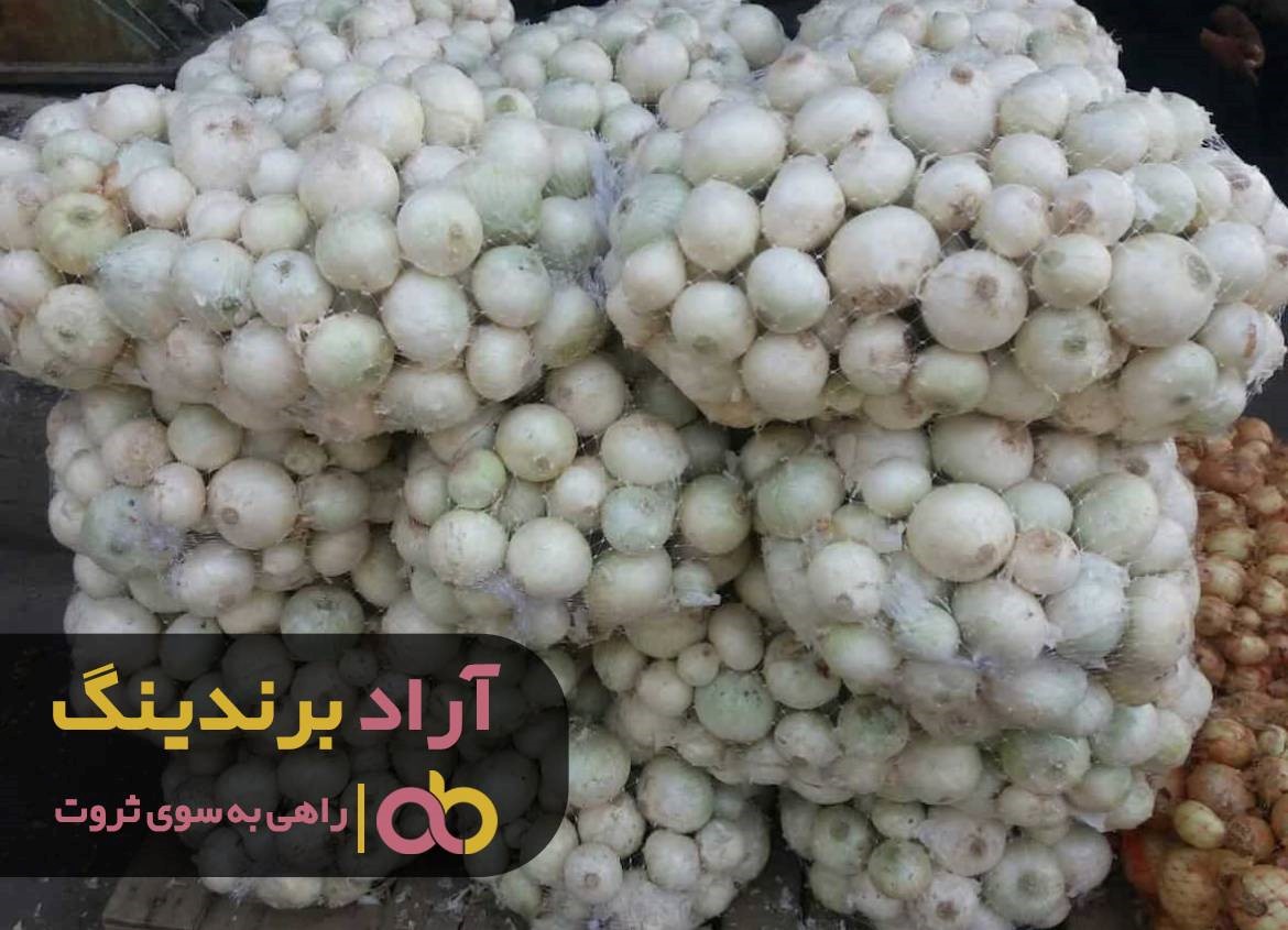 https://akharinnews.com/images/1401/08/21/53.jpg