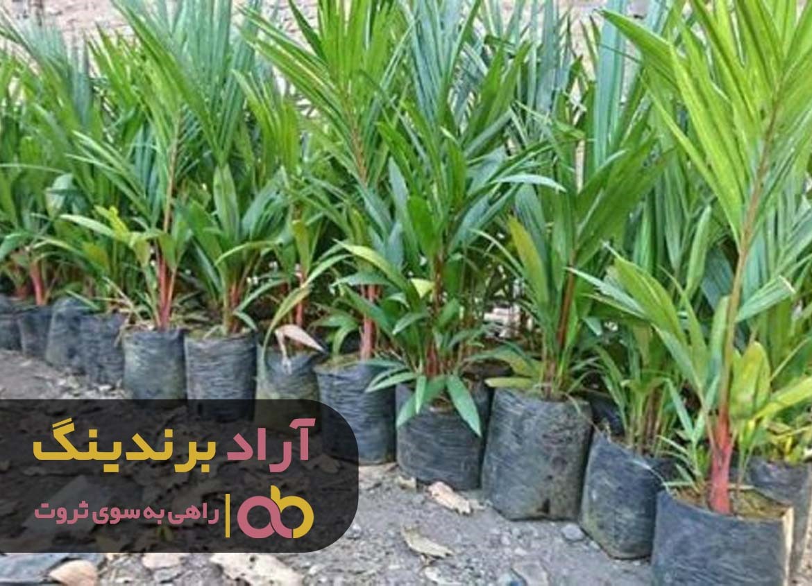 https://akharinnews.com/images/1401/08/21/73.jpg