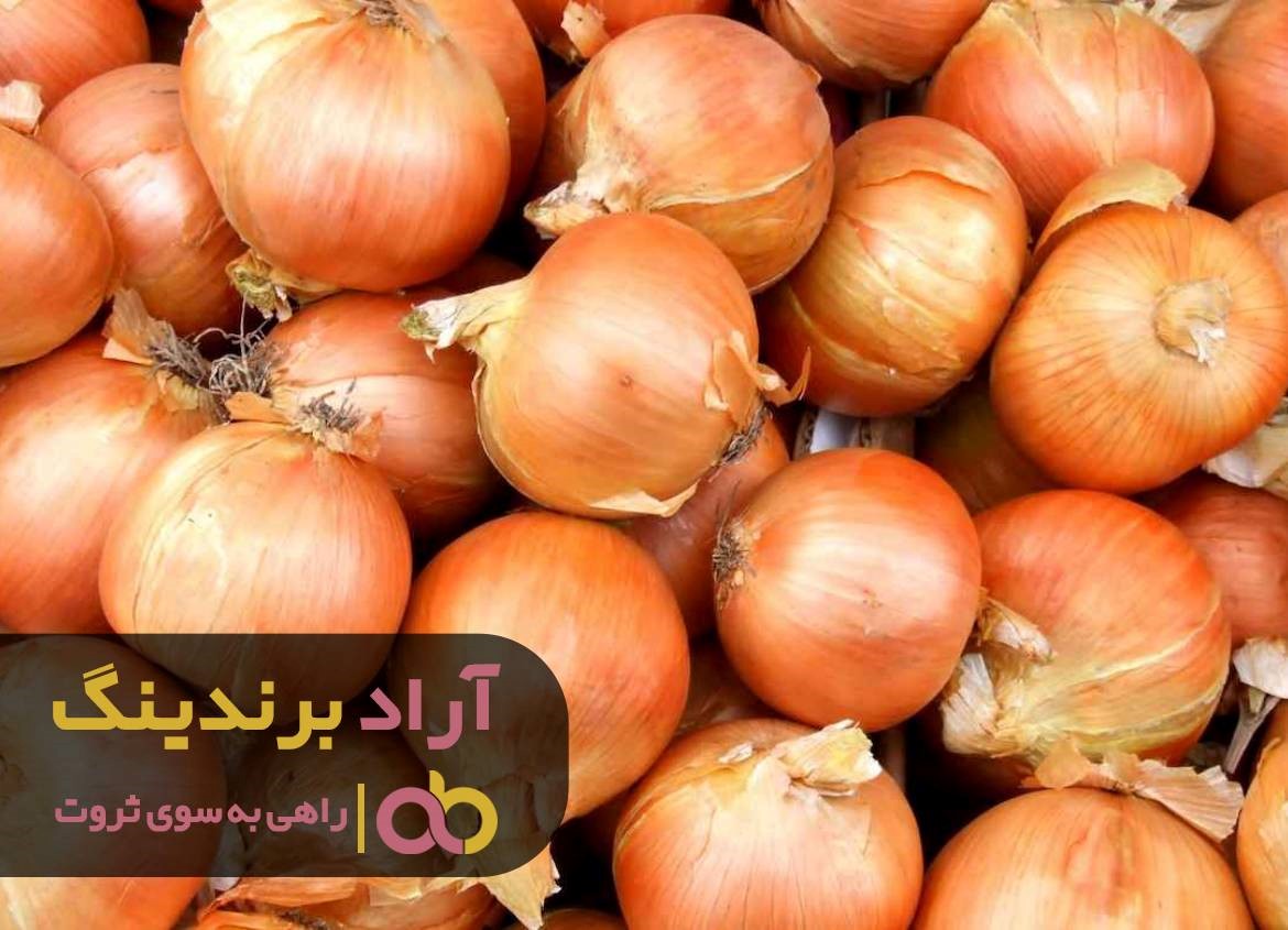 https://akharinnews.com/images/1401/08/21/91.jpg