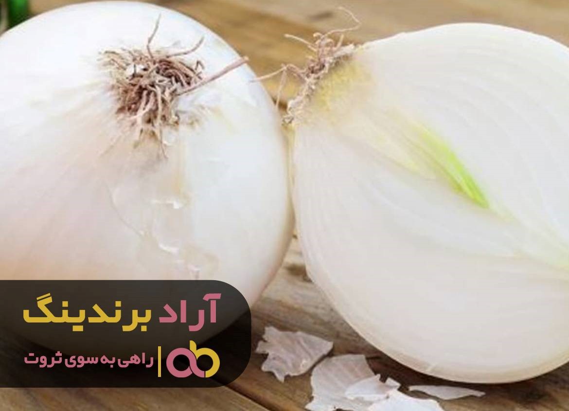 https://akharinnews.com/images/1401/08/21/92.jpg