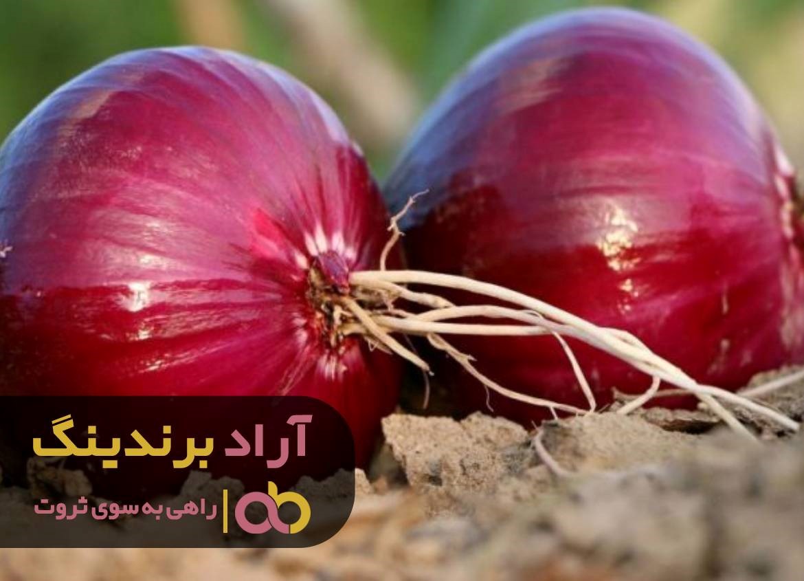 https://akharinnews.com/images/1401/08/21/93.jpg