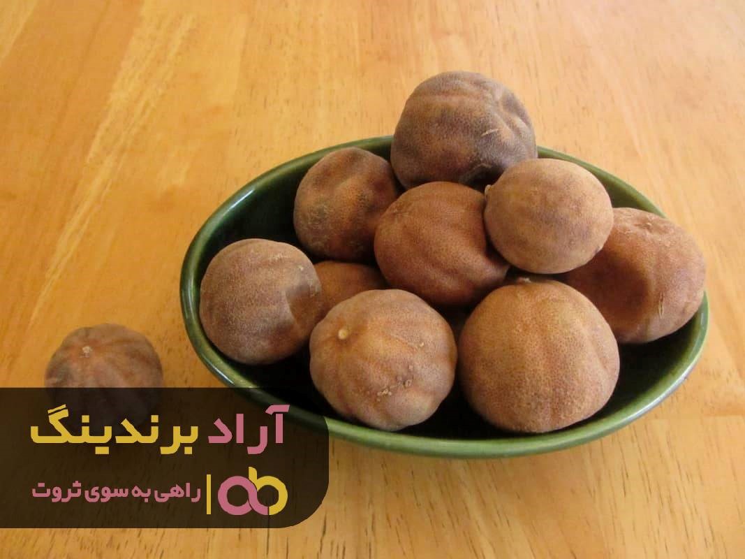https://akharinnews.com/images/1401/08/22/21.jpg