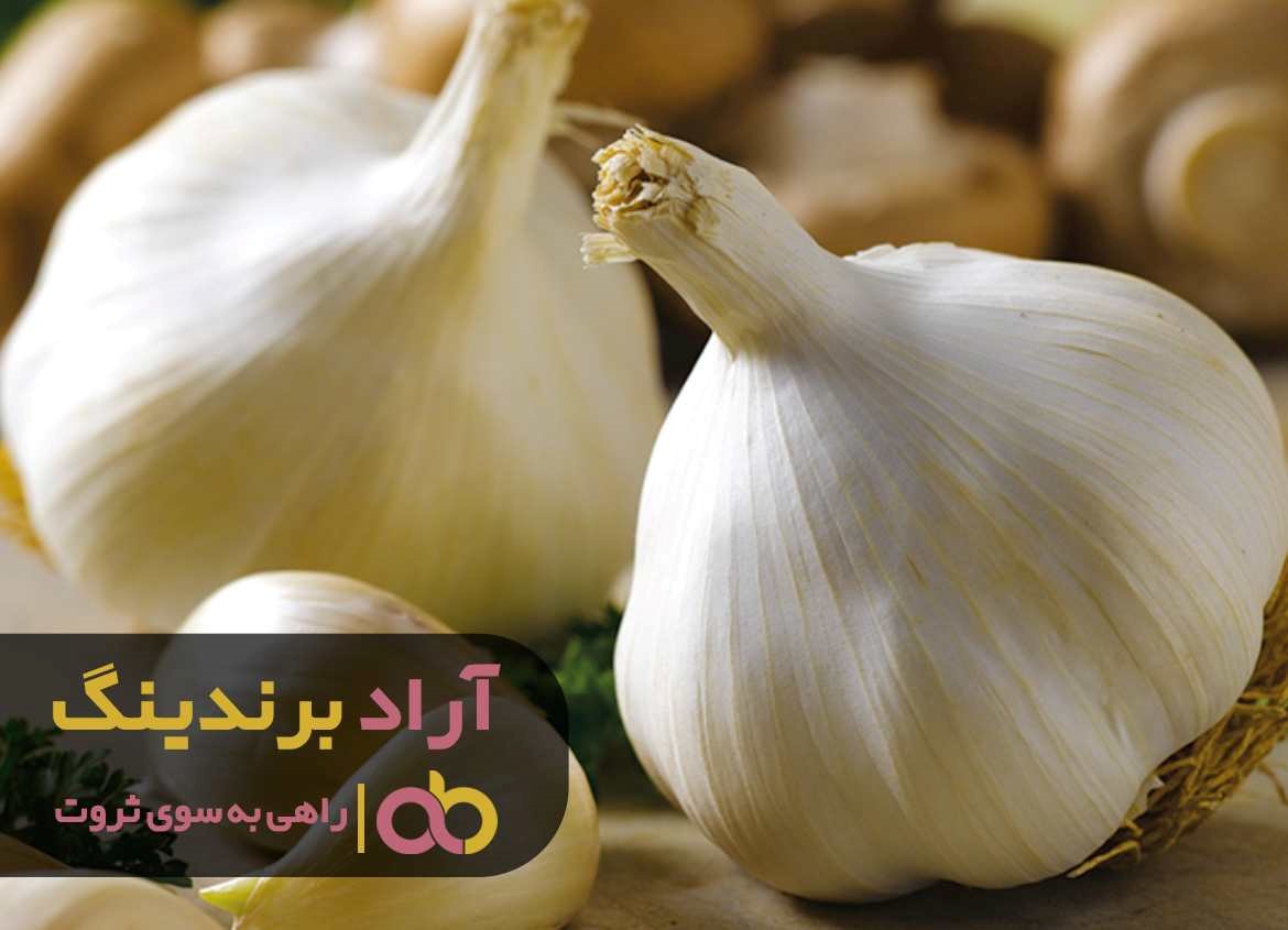 https://akharinnews.com/images/1401/08/26/51.jpg
