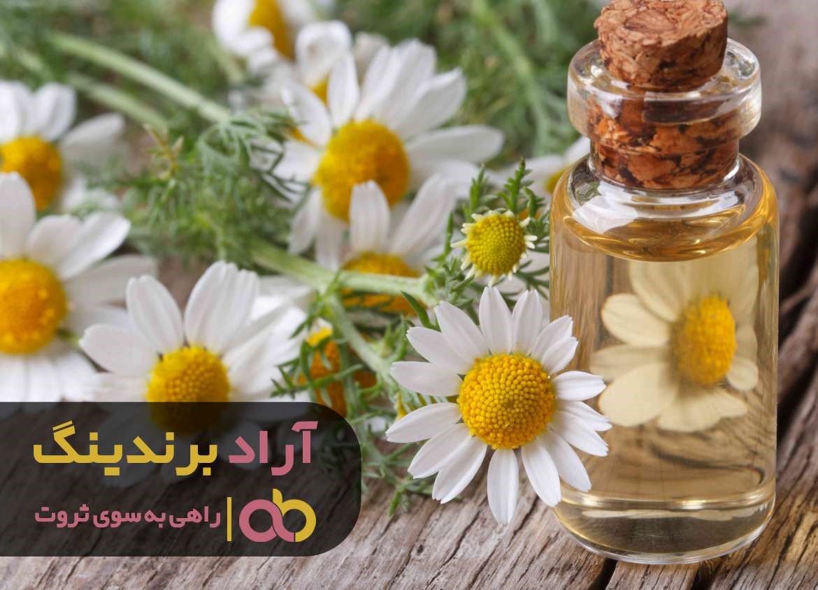 https://akharinnews.com/images/1401/08/28/41.jpg