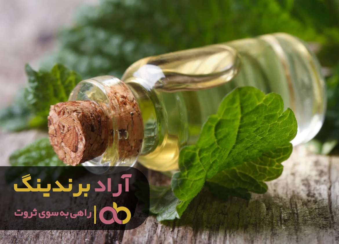 https://akharinnews.com/images/1401/08/28/42.jpg