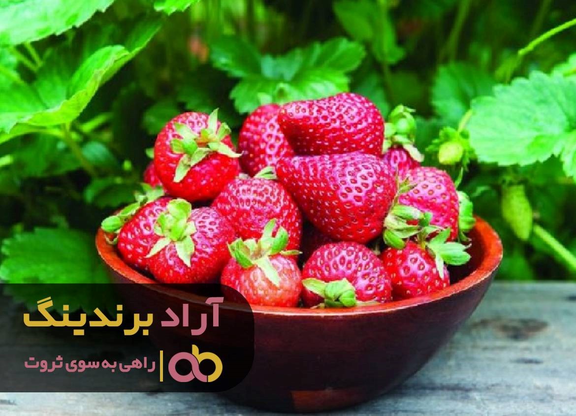 https://akharinnews.com/images/1401/09/01/61.jpg