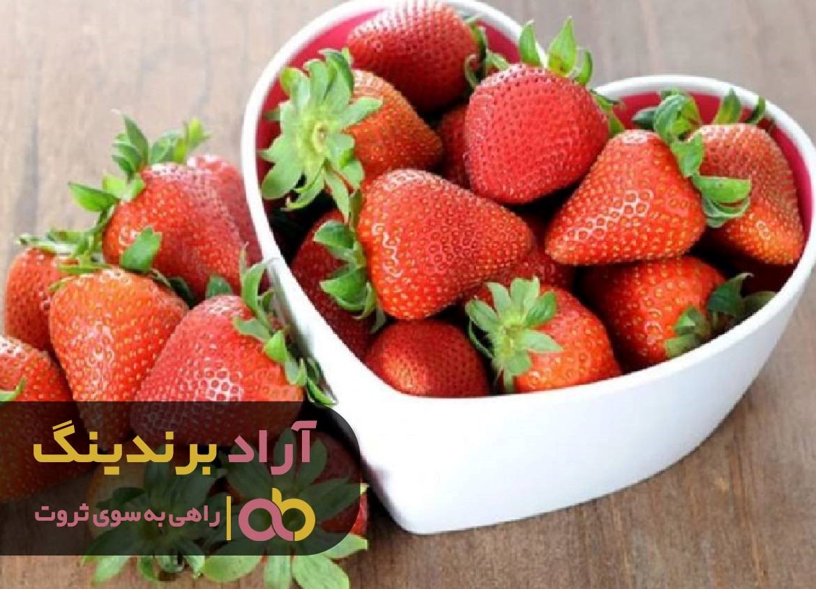 https://akharinnews.com/images/1401/09/01/63.jpg