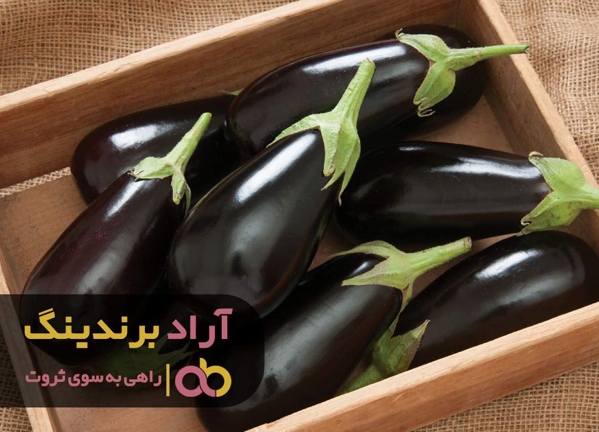 https://akharinnews.com/images/1401/09/02/62.jpg