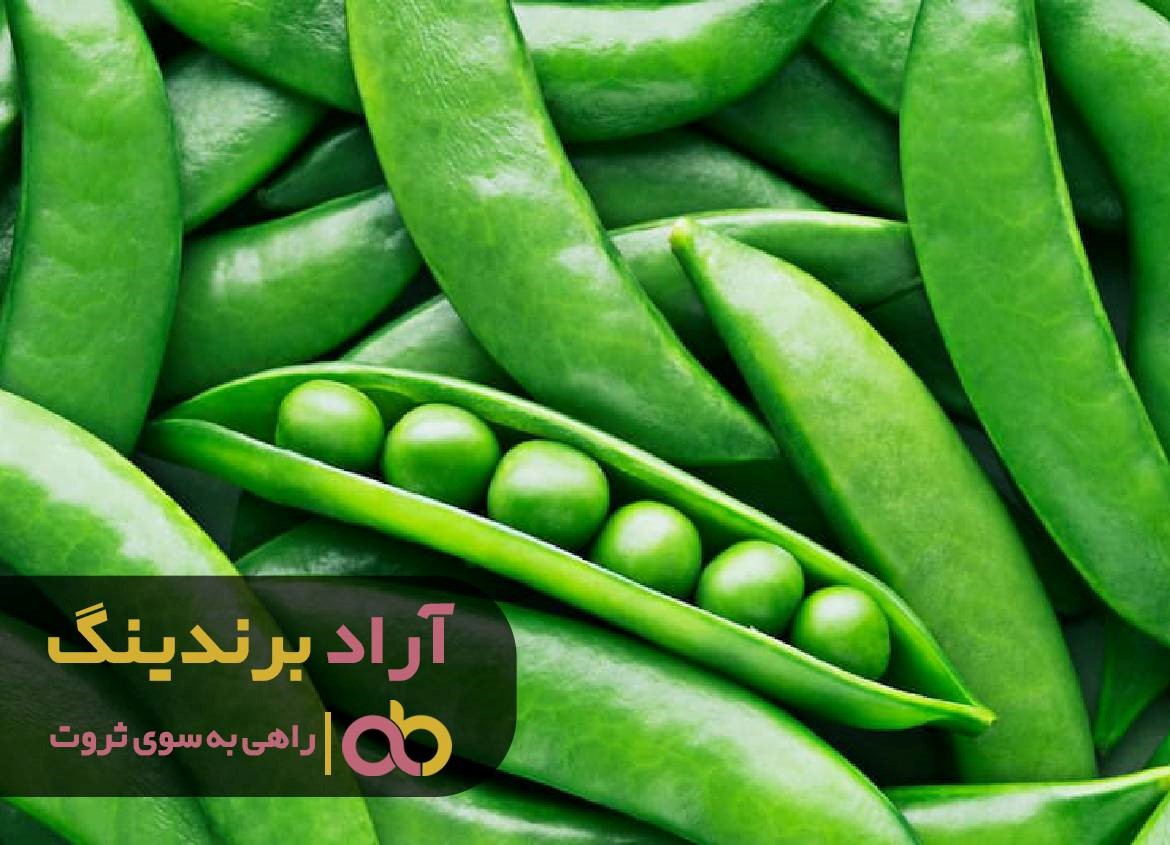 https://akharinnews.com/images/1401/09/06/11.jpg
