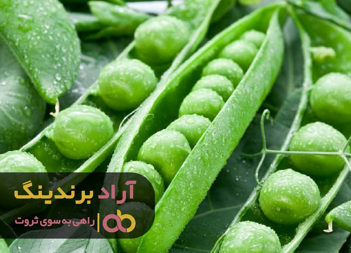 https://akharinnews.com/images/1401/09/06/12.jpg