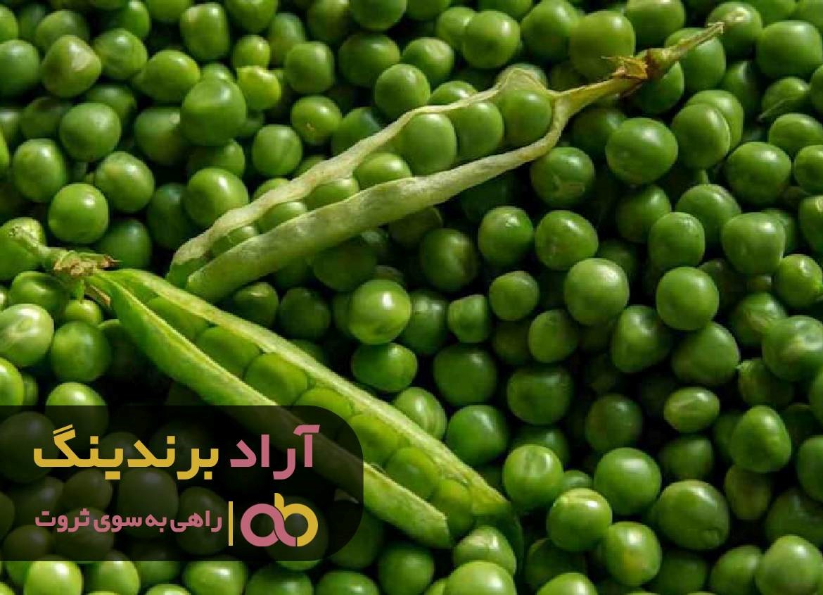 https://akharinnews.com/images/1401/09/06/13.jpg