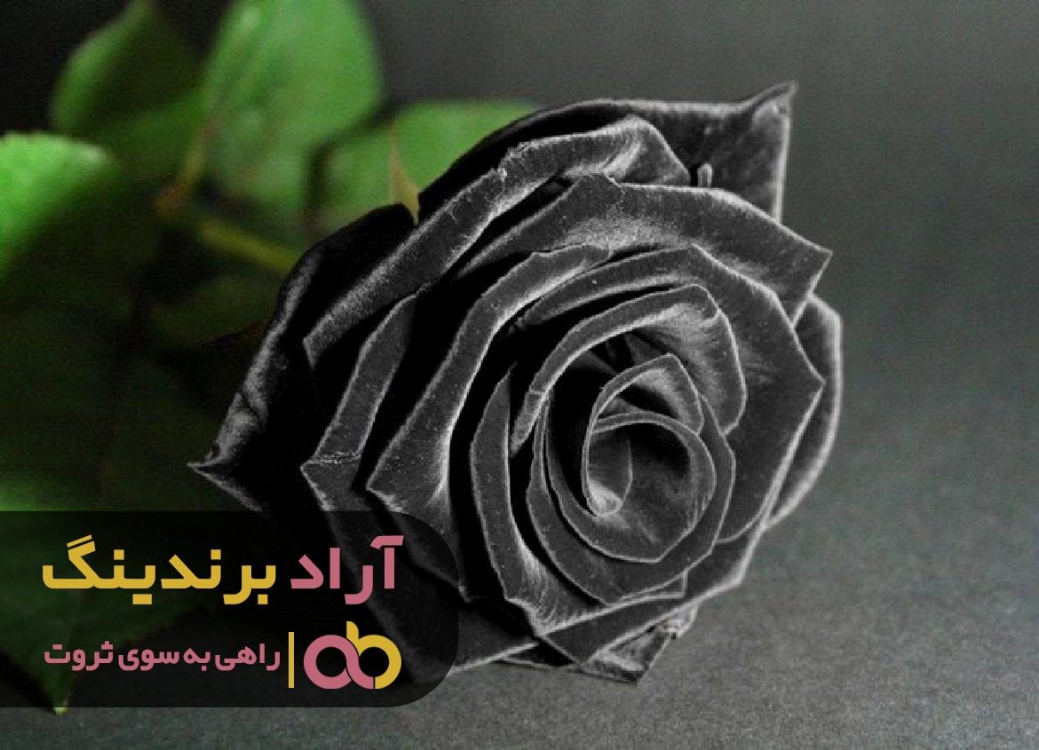 https://akharinnews.com/images/1401/09/07/33.jpg