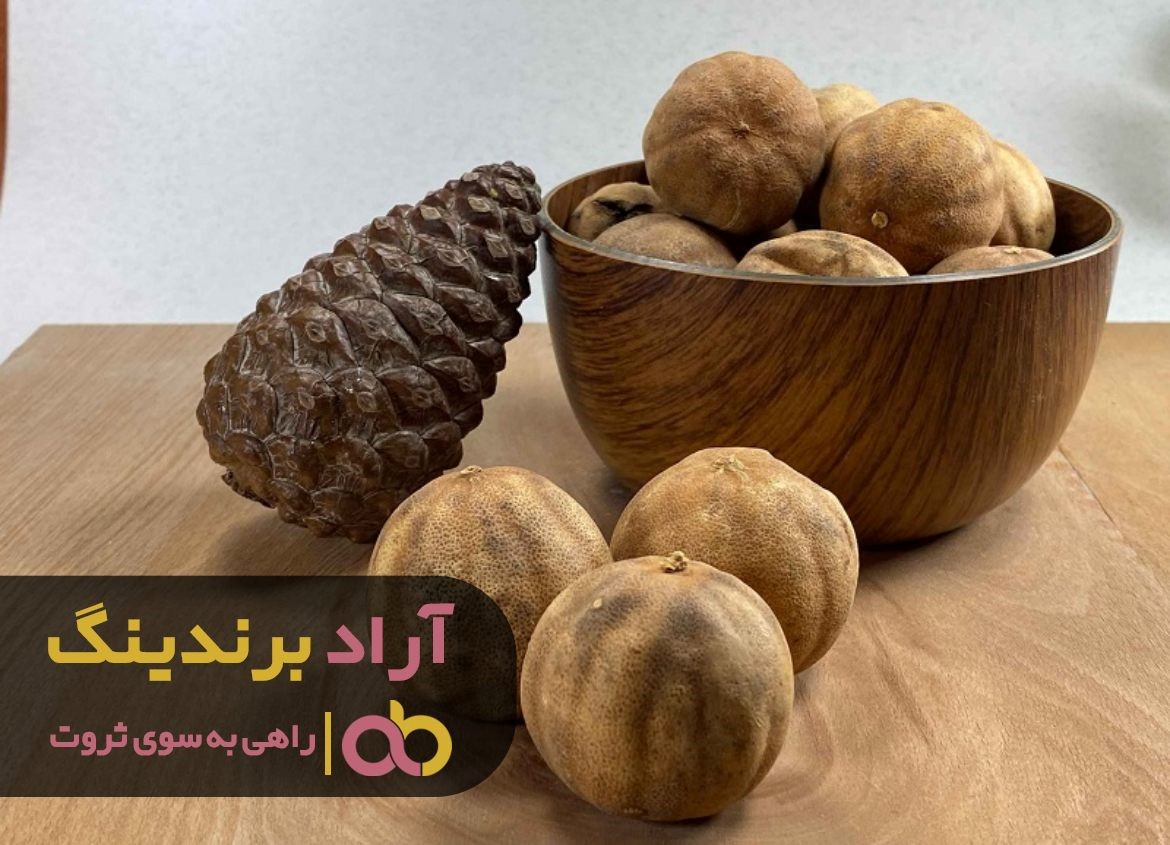 https://akharinnews.com/images/1401/09/10/23.jpg