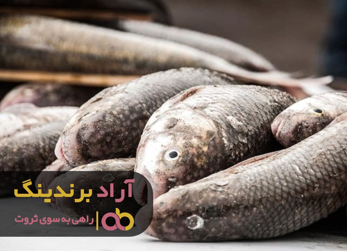 https://akharinnews.com/images/1401/09/11/52.jpg