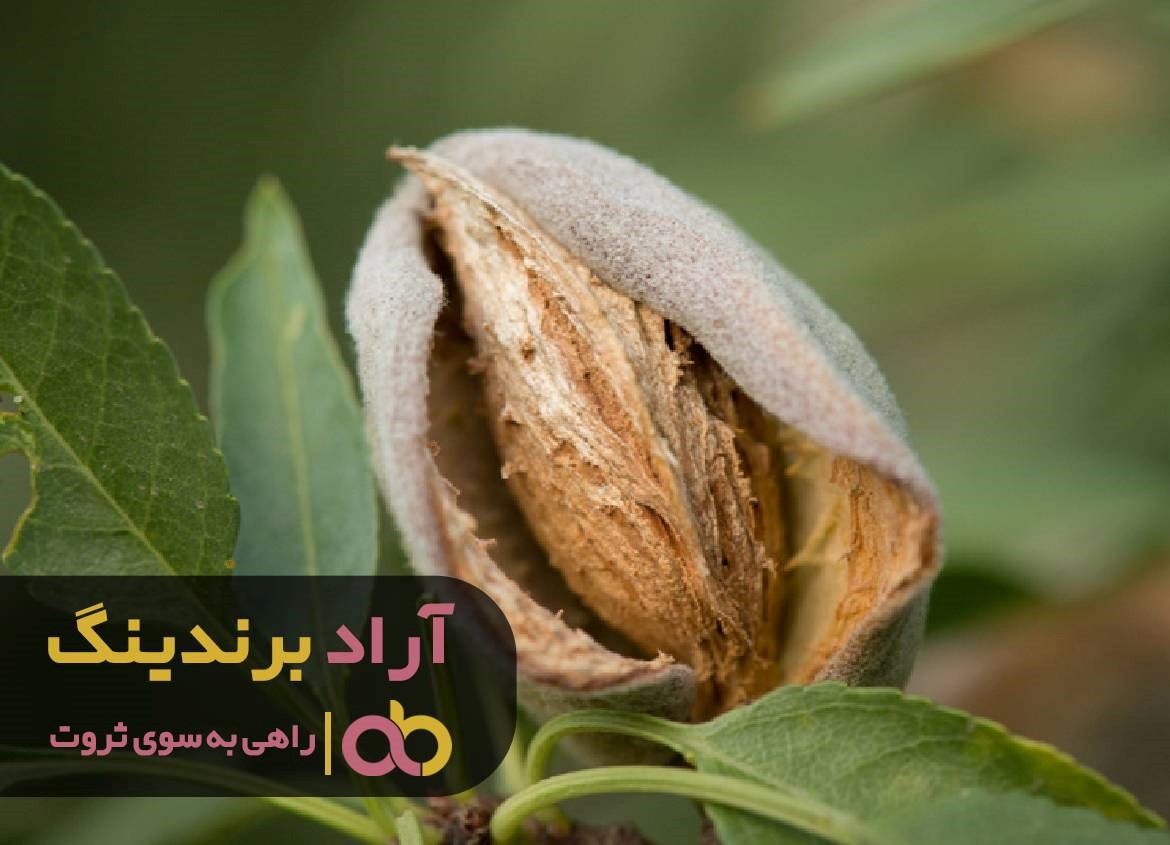https://akharinnews.com/images/1401/09/15/33.jpg