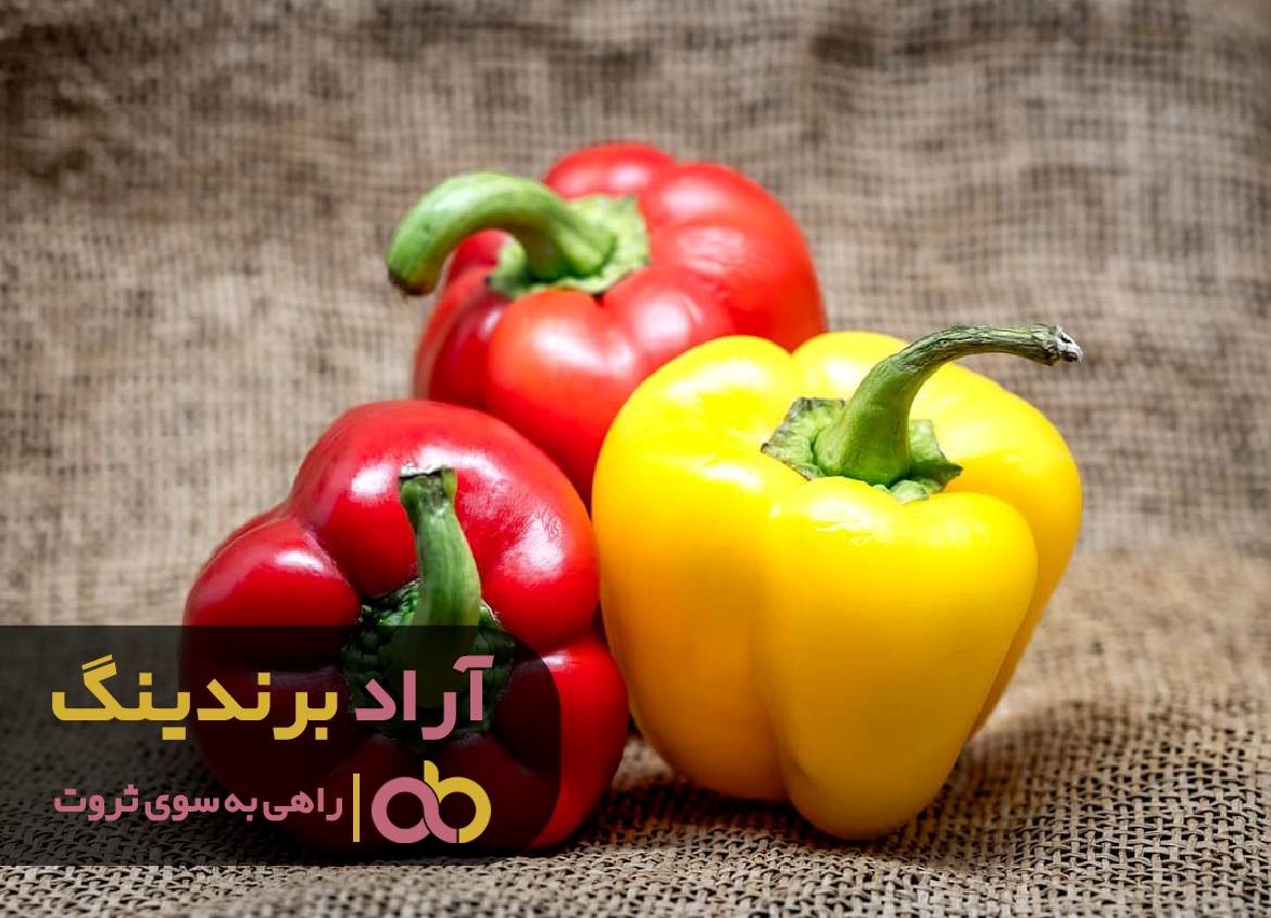 https://akharinnews.com/images/1401/10/03/13.jpg