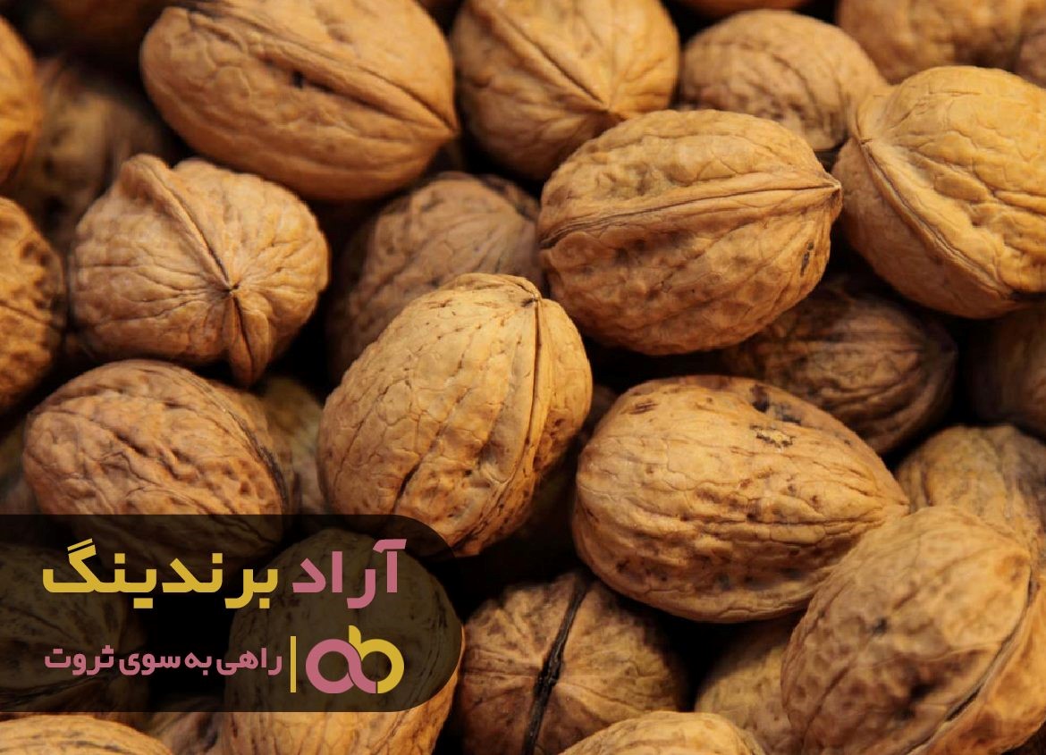 https://akharinnews.com/images/1401/10/08/11.jpg