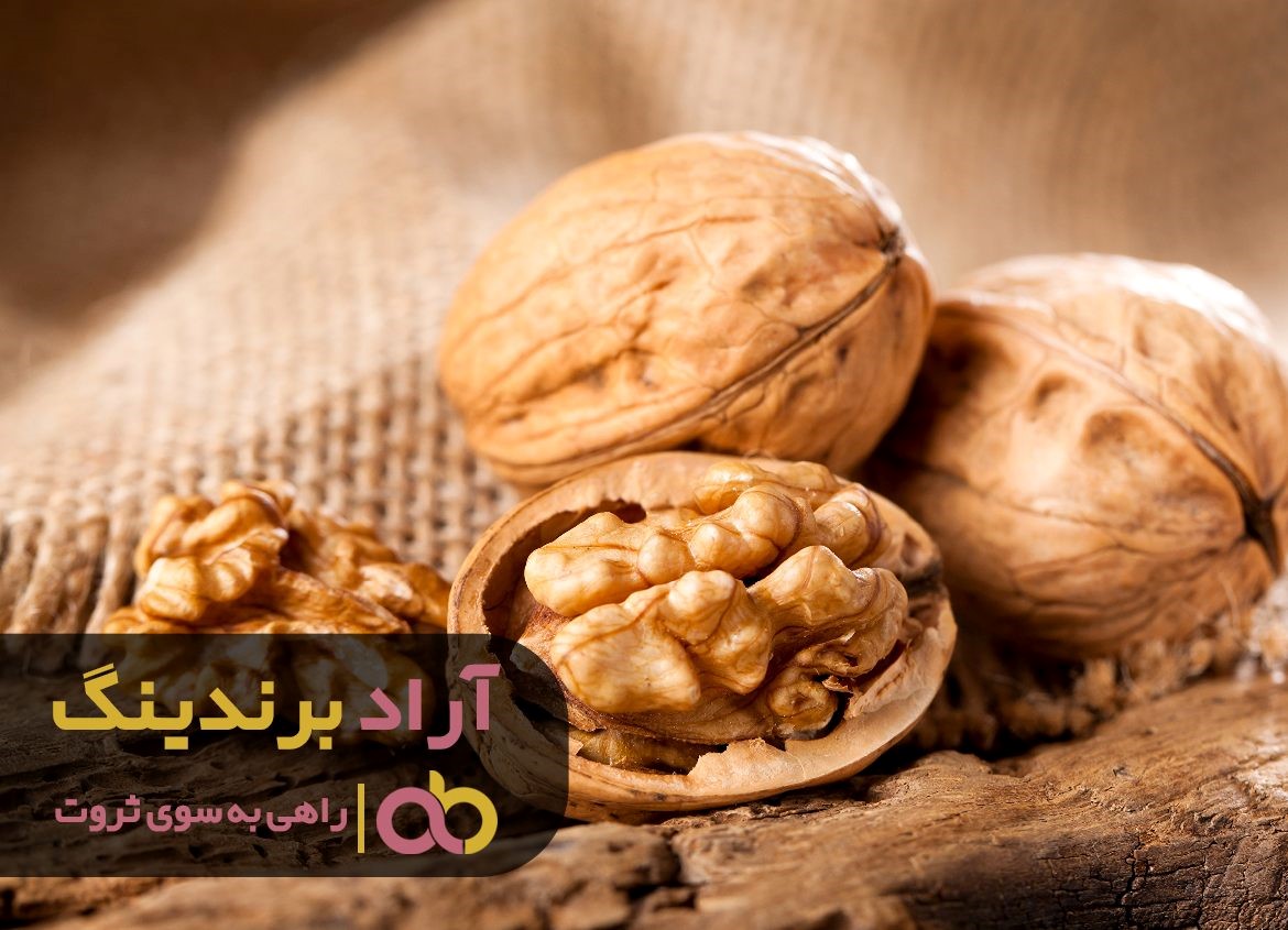 https://akharinnews.com/images/1401/10/08/13.jpg