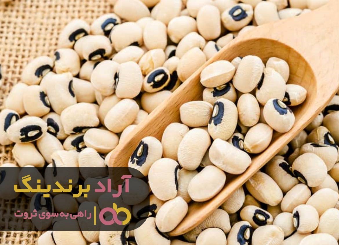 https://akharinnews.com/images/1401/10/09/21.jpg
