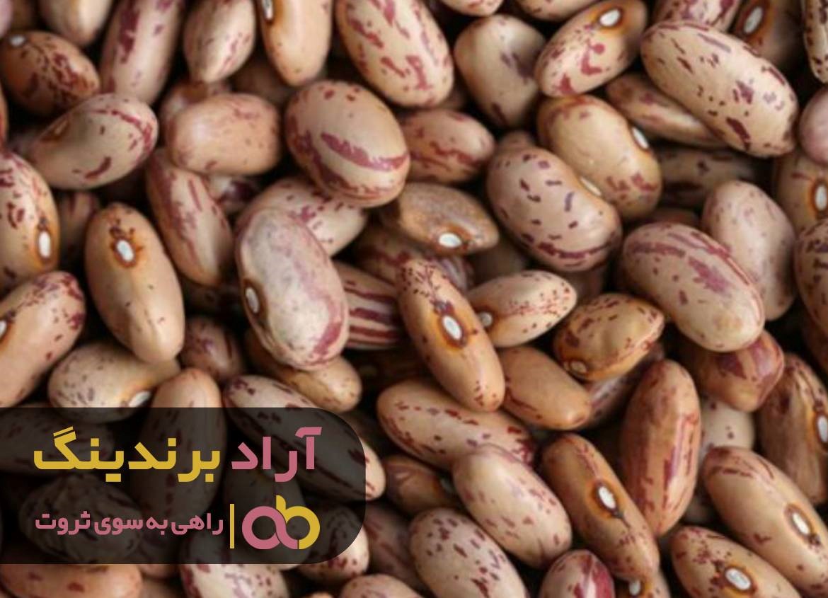 https://akharinnews.com/images/1401/10/09/22.jpg