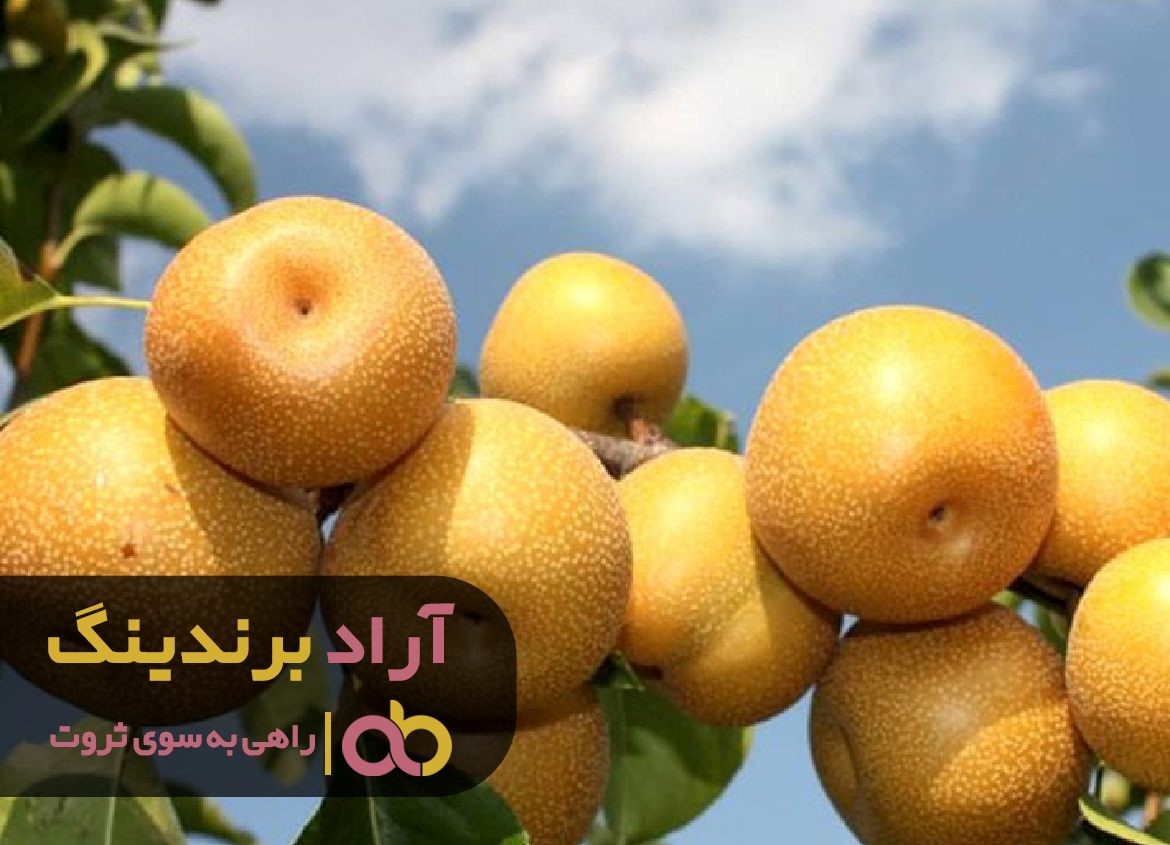 https://akharinnews.com/images/1401/10/09/31.jpg