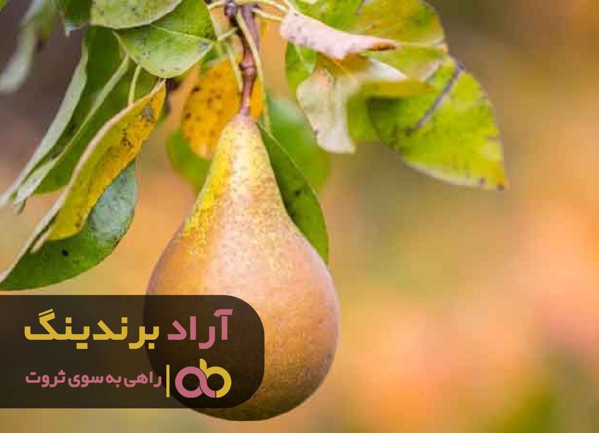 https://akharinnews.com/images/1401/10/09/33.jpg