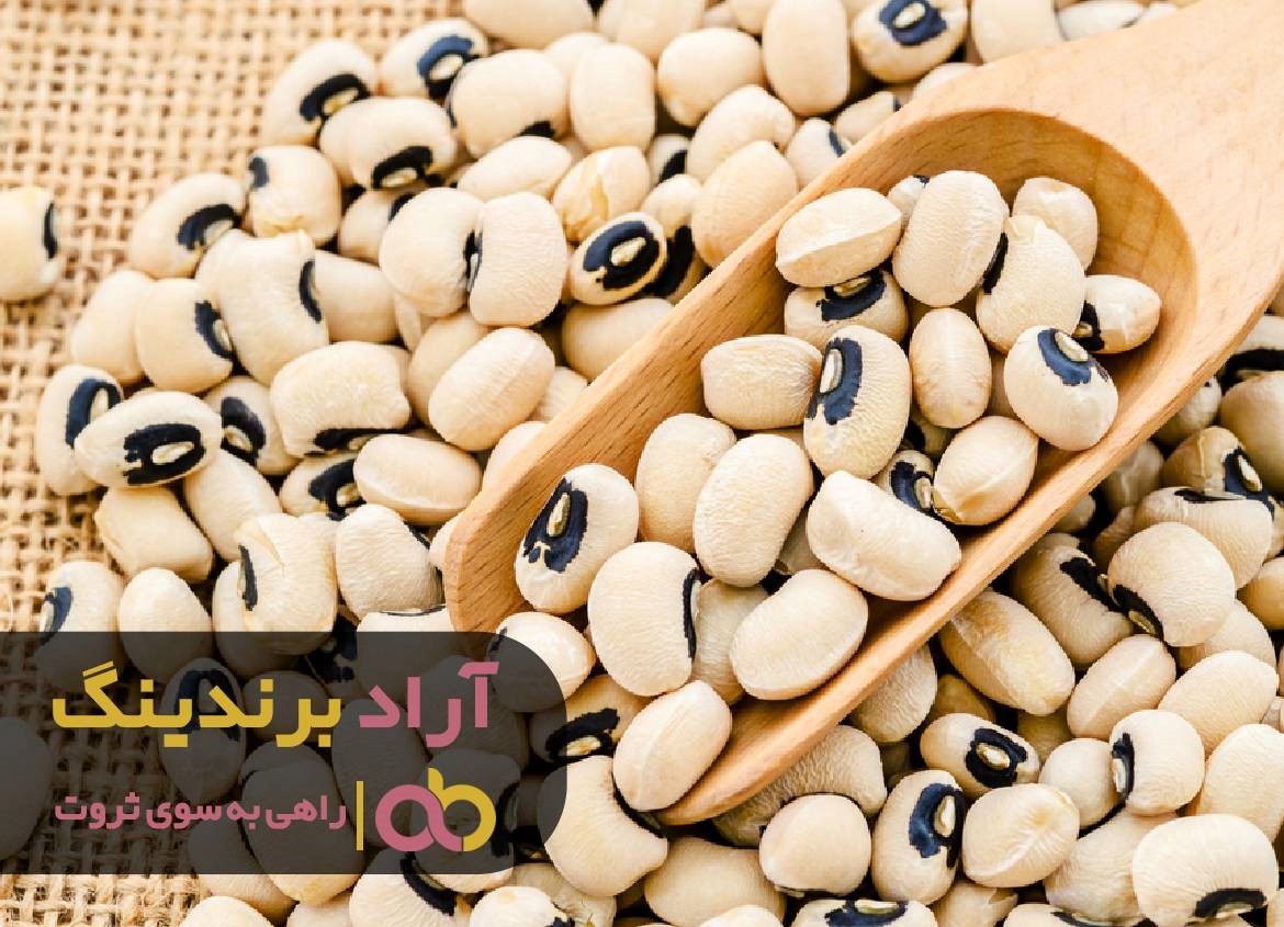 https://akharinnews.com/images/1401/10/10/21.jpg
