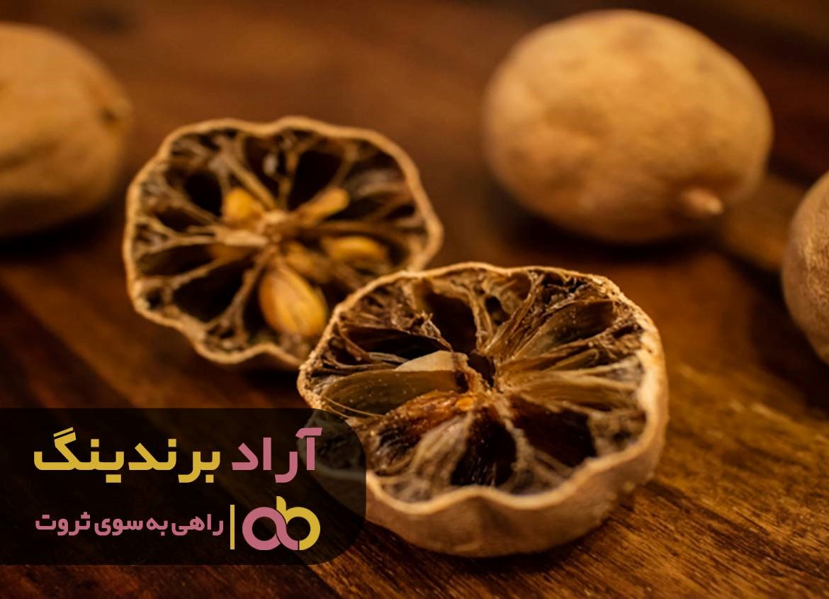 https://akharinnews.com/images/1401/10/11/31.jpg
