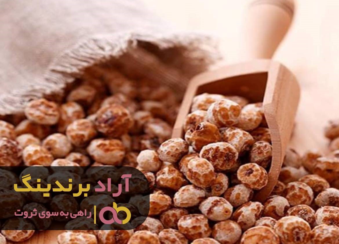 https://akharinnews.com/images/1401/10/12/22.jpg